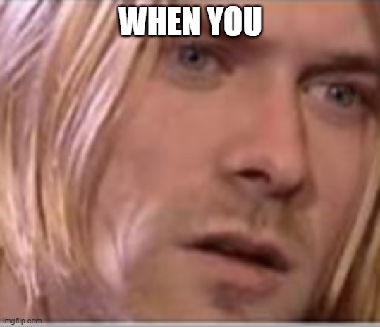when you | WHEN YOU | image tagged in kurt cobain | made w/ Imgflip meme maker
