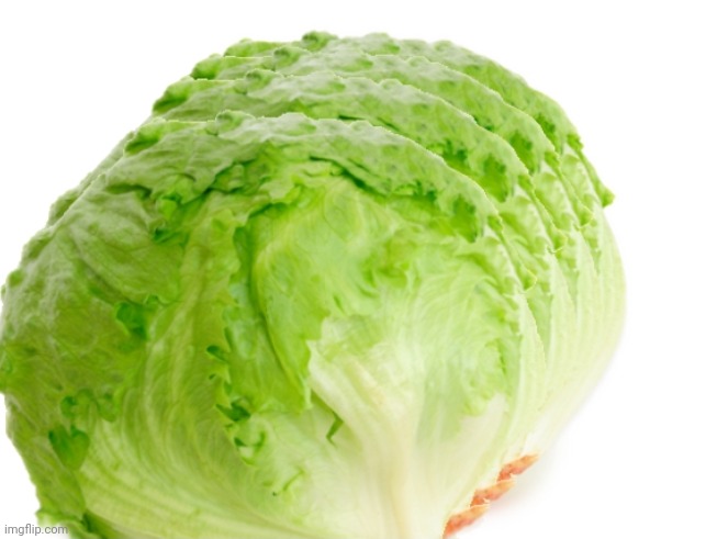 multiple lettuce | image tagged in multiple lettuce | made w/ Imgflip meme maker