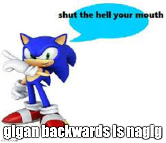 Shut the hell your mouth | gigan backwards is nagig | image tagged in shut the hell your mouth | made w/ Imgflip meme maker