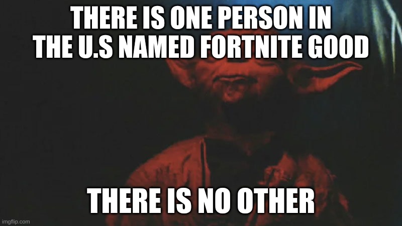 There is no other |  THERE IS ONE PERSON IN THE U.S NAMED FORTNITE GOOD; THERE IS NO OTHER | image tagged in there is another | made w/ Imgflip meme maker