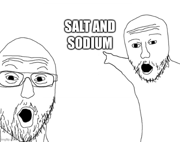 project meme | SODIUM; SALT AND | image tagged in soyjak pointing | made w/ Imgflip meme maker