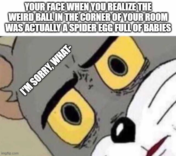 The amount of panic one can wallow themselves in after noticing this- | YOUR FACE WHEN YOU REALIZE THE WEIRD BALL IN THE CORNER OF YOUR ROOM WAS ACTUALLY A SPIDER EGG FULL OF BABIES; I'M SORRY, WHAT- | image tagged in tom cat unsettled close up | made w/ Imgflip meme maker