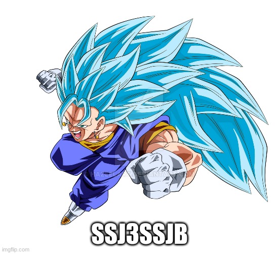 super saiyan 3 goku and super saiyan blue vegeta | SSJ3SSJB | image tagged in cursed image | made w/ Imgflip meme maker