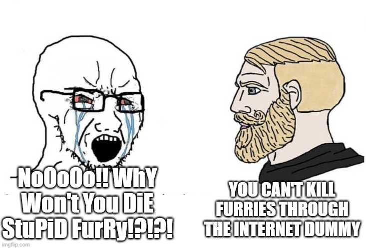 i am a chad | YOU CAN'T KILL FURRIES THROUGH THE INTERNET DUMMY; NoOoOo!! WhY Won't You DiE StuPiD FurRy!?!?! | image tagged in soyboy vs yes chad | made w/ Imgflip meme maker