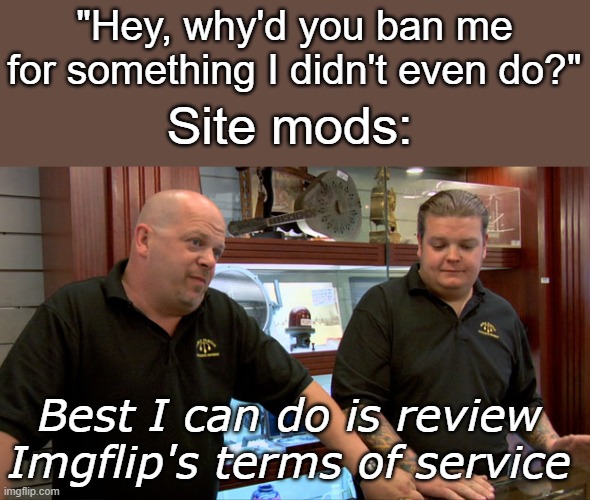 this is the only response I get lol | "Hey, why'd you ban me for something I didn't even do?"; Site mods:; Best I can do is review Imgflip's terms of service | image tagged in pawn stars best i can do | made w/ Imgflip meme maker
