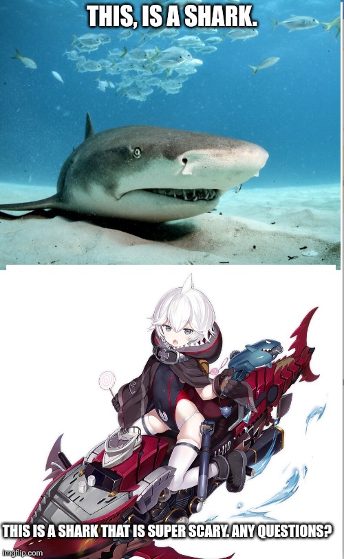 THIS, IS A SHARK. THIS IS A SHARK THAT IS SUPER SCARY. ANY QUESTIONS? | made w/ Imgflip meme maker