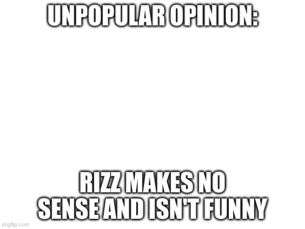 UNPOPULAR OPINION:; RIZZ MAKES NO SENSE AND ISN'T FUNNY | made w/ Imgflip meme maker