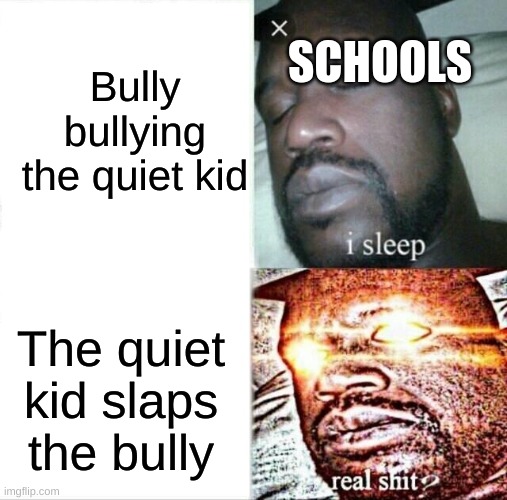 . | Bully bullying the quiet kid; SCHOOLS; The quiet kid slaps the bully | image tagged in memes,sleeping shaq | made w/ Imgflip meme maker