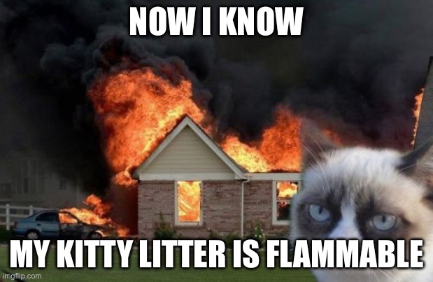 Oops | NOW I KNOW; MY KITTY LITTER IS FLAMMABLE | image tagged in memes,burn kitty,grumpy cat | made w/ Imgflip meme maker