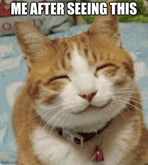 Happy cat | ME AFTER SEEING THIS | image tagged in happy cat | made w/ Imgflip meme maker