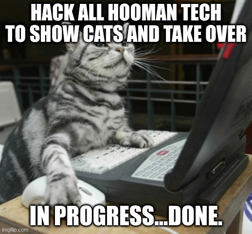 hacker cat | HACK ALL HOOMAN TECH TO SHOW CATS AND TAKE OVER; IN PROGRESS...DONE. | image tagged in hacker cat | made w/ Imgflip meme maker