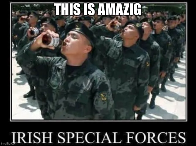 Irish special forces are special | THIS IS AMAZING | image tagged in lol,ireland | made w/ Imgflip meme maker