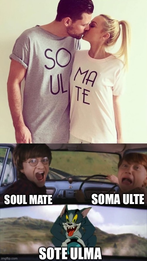 Soma Ulte | SOMA ULTE; SOUL MATE; SOTE ULMA | image tagged in tom chasing harry and ron weasly,memes,you had one job,design fails,shirt,failure | made w/ Imgflip meme maker