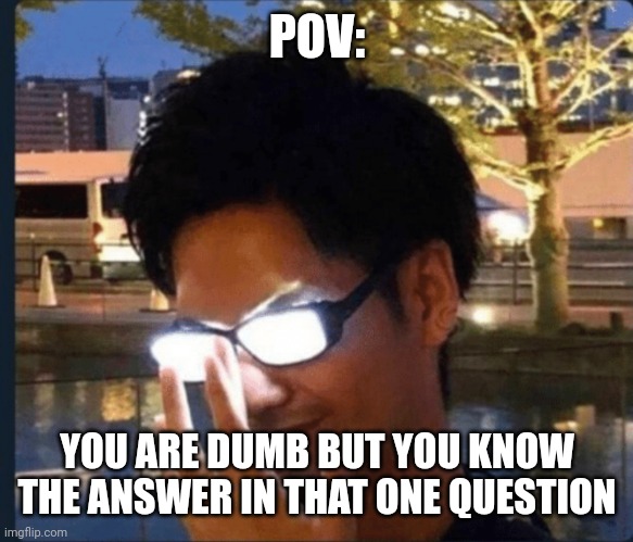 Anime glasses | POV:; YOU ARE DUMB BUT YOU KNOW THE ANSWER IN THAT ONE QUESTION | image tagged in anime glasses | made w/ Imgflip meme maker