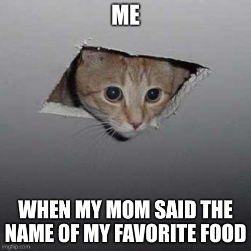 Ceiling Cat | ME; WHEN MY MOM SAID THE NAME OF MY FAVORITE FOOD | image tagged in memes,ceiling cat | made w/ Imgflip meme maker