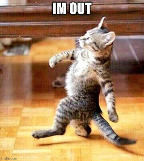 Cat Walking Away | IM OUT | image tagged in cat walking away | made w/ Imgflip meme maker