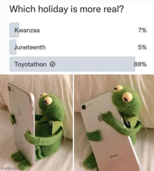 I love democracy | image tagged in kermit hugging phone,why are you reading this | made w/ Imgflip meme maker