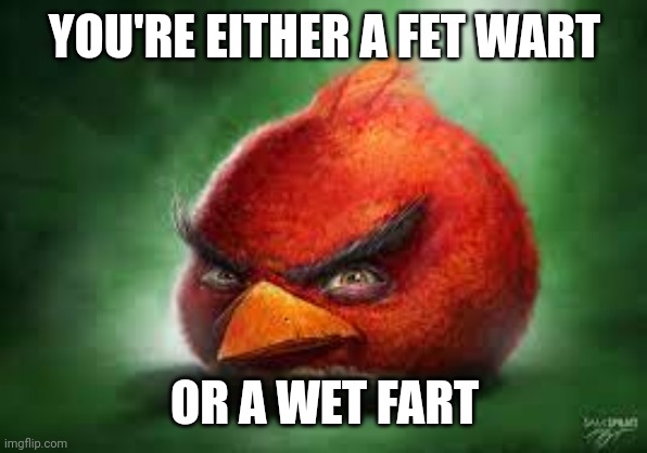 Fet wart | YOU'RE EITHER A FET WART; OR A WET FART | image tagged in realistic red angry birds | made w/ Imgflip meme maker