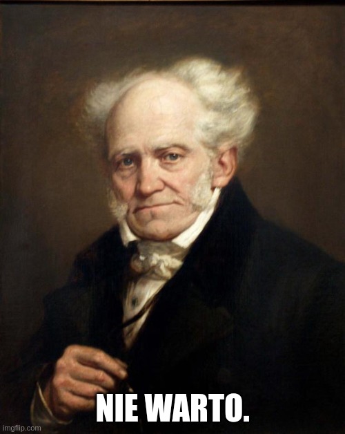 schopenhauer | NIE WARTO. | image tagged in schopenhauer | made w/ Imgflip meme maker