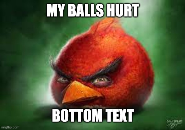 Realistic Red Angry Birds | MY BALLS HURT; BOTTOM TEXT | image tagged in realistic red angry birds | made w/ Imgflip meme maker