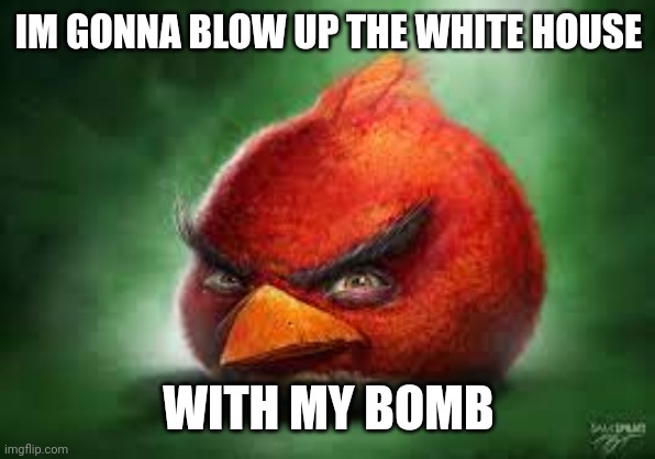 Realistic Red Angry Birds | IM GONNA BLOW UP THE WHITE HOUSE; WITH MY BOMB | image tagged in realistic red angry birds | made w/ Imgflip meme maker