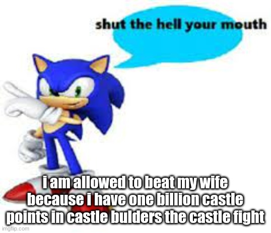 Shut the hell your mouth | i am allowed to beat my wife because i have one billion castle points in castle bulders the castle fight | image tagged in shut the hell your mouth | made w/ Imgflip meme maker