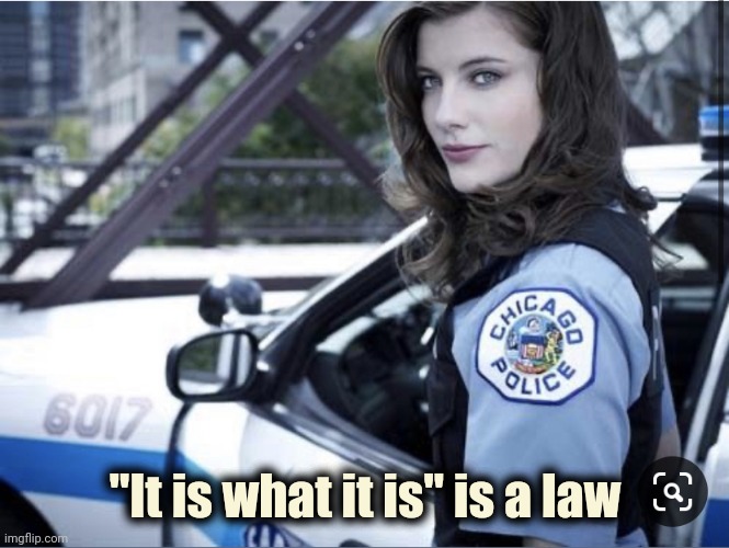 Hot Cop | "It is what it is" is a law | image tagged in hot cop | made w/ Imgflip meme maker