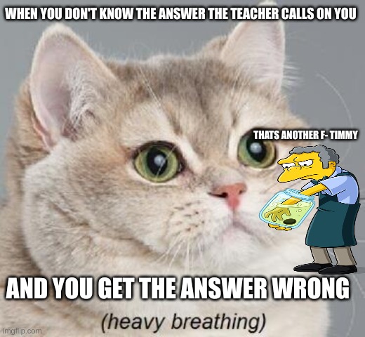 Heavy Breathing Cat Meme | WHEN YOU DON'T KNOW THE ANSWER THE TEACHER CALLS ON YOU; THAT'S ANOTHER F- TIMMY; AND YOU GET THE ANSWER WRONG | image tagged in memes,heavy breathing cat | made w/ Imgflip meme maker