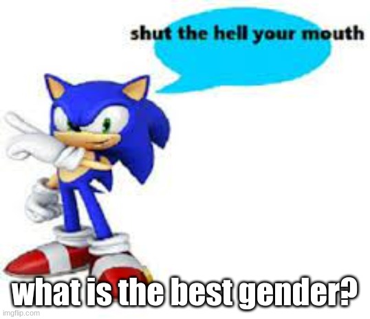 Shut the hell your mouth | what is the best gender? | image tagged in shut the hell your mouth | made w/ Imgflip meme maker