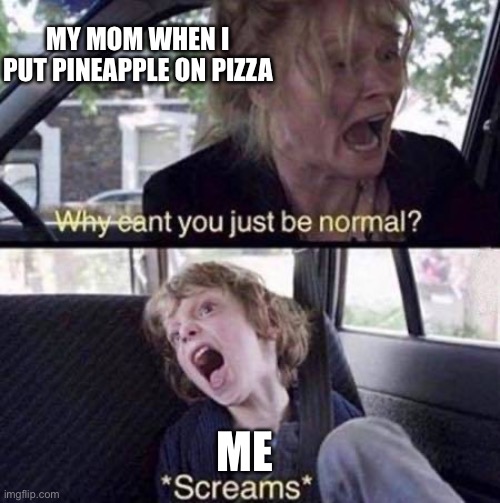 Why Can't You Just Be Normal | MY MOM WHEN I PUT PINEAPPLE ON PIZZA; ME | image tagged in why can't you just be normal | made w/ Imgflip meme maker
