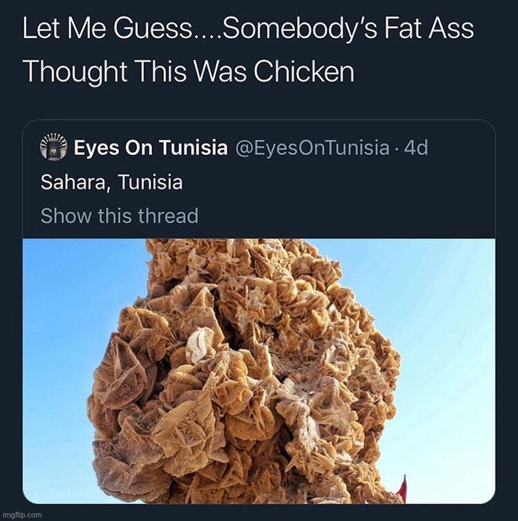 it look just like chicken | made w/ Imgflip meme maker