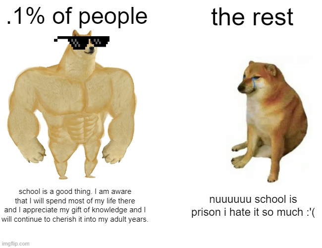 rhehehehehe | .1% of people; the rest; school is a good thing. I am aware that I will spend most of my life there and I appreciate my gift of knowledge and I will continue to cherish it into my adult years. nuuuuuu school is prison i hate it so much :'( | image tagged in memes,buff doge vs cheems | made w/ Imgflip meme maker