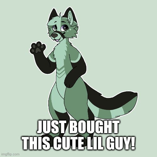 I bought this adoptable from etsy! (Art by MintyChipMocha) | JUST BOUGHT THIS CUTE LIL GUY! | image tagged in furry,art,fandom | made w/ Imgflip meme maker
