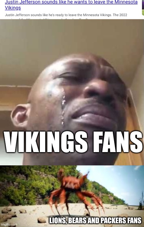 VIKINGS FANS; LIONS, BEARS AND PACKERS FANS | image tagged in crying black guy,crab rave | made w/ Imgflip meme maker