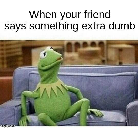 why | When your friend says something extra dumb | image tagged in kermit,dumb | made w/ Imgflip meme maker