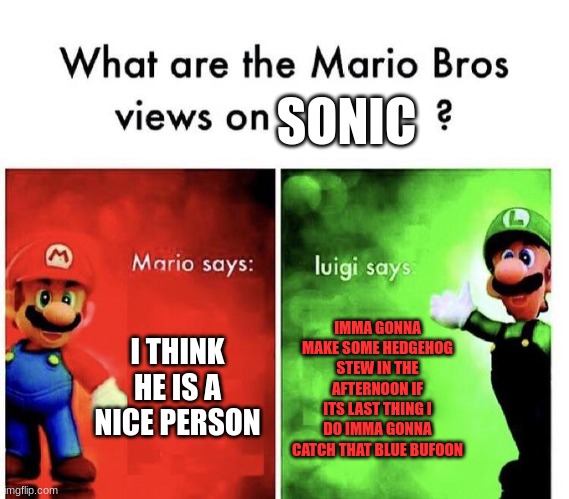 Mario Bros Views | SONIC; I THINK HE IS A NICE PERSON; IMMA GONNA MAKE SOME HEDGEHOG STEW IN THE AFTERNOON IF ITS LAST THING I DO IMMA GONNA CATCH THAT BLUE BUFFOON | image tagged in mario bros views | made w/ Imgflip meme maker