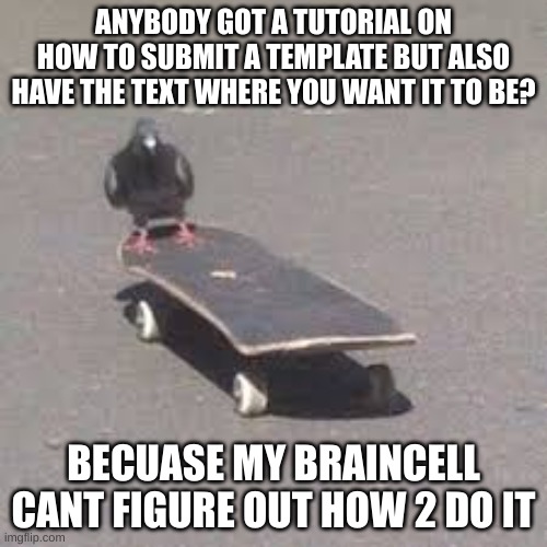 SkAtEbOaRdInG pIgEoN!1!1 (I also have 0 post remaining in the fun stream sooo am posting here bcs idk where else) | ANYBODY GOT A TUTORIAL ON HOW TO SUBMIT A TEMPLATE BUT ALSO HAVE THE TEXT WHERE YOU WANT IT TO BE? BECAUSE MY BRAINCELL CANT FIGURE OUT HOW 2 DO IT | image tagged in pigeon on a skateboard | made w/ Imgflip meme maker