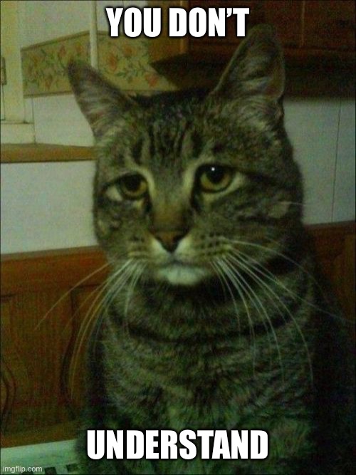 Depressed Cat Meme | YOU DON’T UNDERSTAND | image tagged in memes,depressed cat | made w/ Imgflip meme maker
