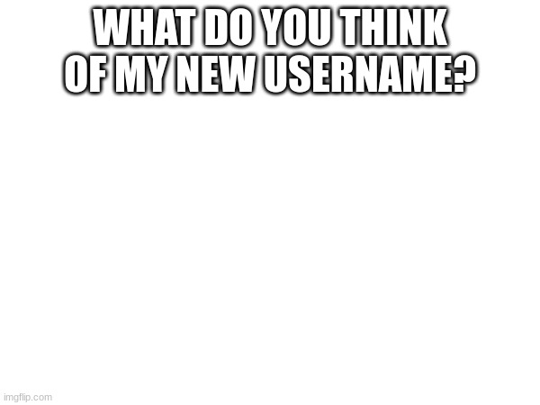 WHAT DO YOU THINK OF MY NEW USERNAME? | made w/ Imgflip meme maker