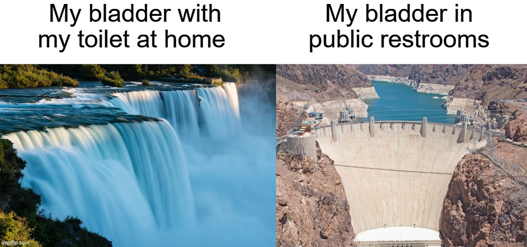In public restrooms, I get a shy bladder | My bladder with my toilet at home; My bladder in public restrooms | image tagged in public restrooms,restroom,toilet,pee,peeing | made w/ Imgflip meme maker
