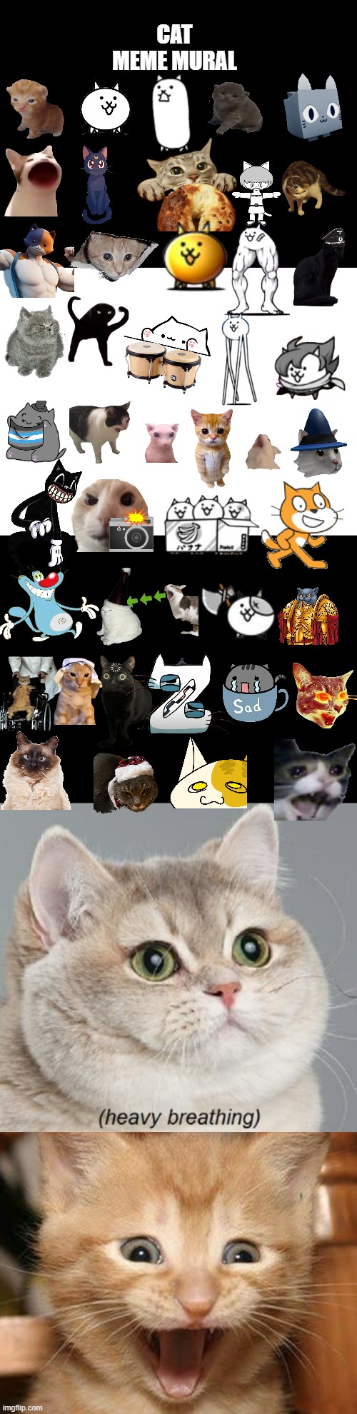 omg this took forever | CAT MEME MURAL | image tagged in memes,heavy breathing cat,excited cat,cats,battle,funny cats | made w/ Imgflip meme maker