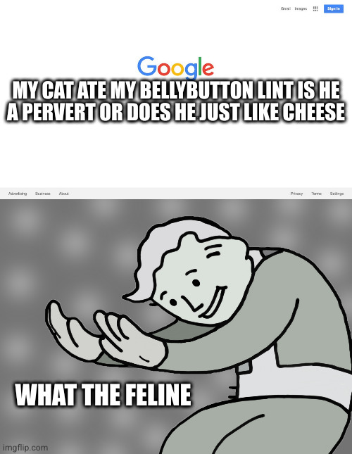 True story! | MY CAT ATE MY BELLYBUTTON LINT IS HE
A PERVERT OR DOES HE JUST LIKE CHEESE; WHAT THE FELINE | image tagged in google search meme,hol up | made w/ Imgflip meme maker