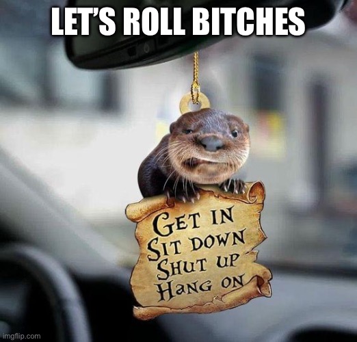 Let’s Roll Bitches | LET’S ROLL BITCHES | image tagged in otter | made w/ Imgflip meme maker
