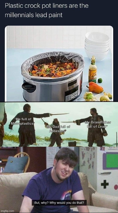 Why would you poison yourself? | image tagged in but why why would you do that,cooking,poison,lead | made w/ Imgflip meme maker