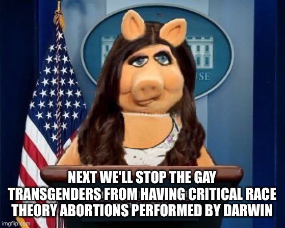 Piggy Sanders | NEXT WE'LL STOP THE GAY TRANSGENDERS FROM HAVING CRITICAL RACE THEORY ABORTIONS PERFORMED BY DARWIN | image tagged in piggy sanders | made w/ Imgflip meme maker