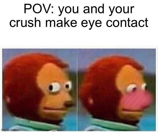 Monkey Puppet | POV: you and your crush make eye contact | image tagged in memes,monkey puppet | made w/ Imgflip meme maker
