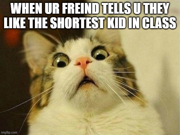 Scared Cat | WHEN UR FREIND TELLS U THEY LIKE THE SHORTEST KID IN CLASS | image tagged in memes,scared cat | made w/ Imgflip meme maker