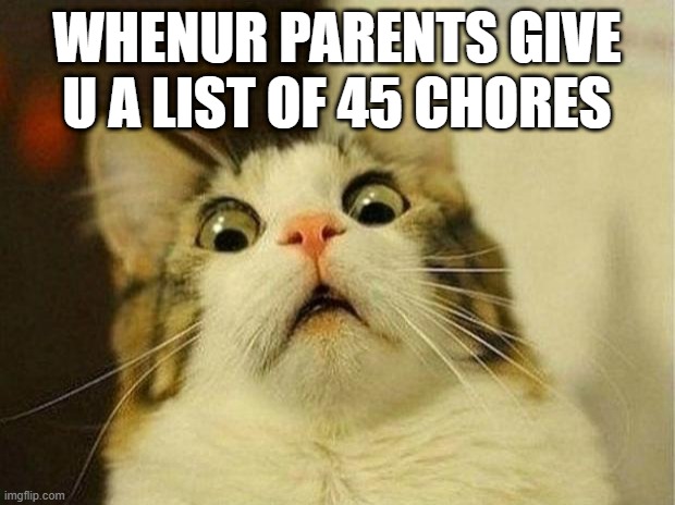 Scared Cat | WHENUR PARENTS GIVE U A LIST OF 45 CHORES | image tagged in memes,scared cat | made w/ Imgflip meme maker