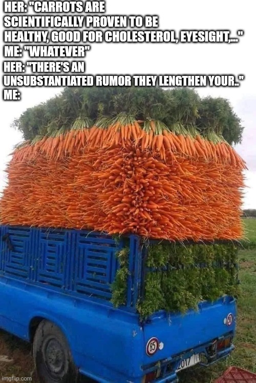 Carrots | HER: "CARROTS ARE SCIENTIFICALLY PROVEN TO BE HEALTHY, GOOD FOR CHOLESTEROL, EYESIGHT,..."
ME: "WHATEVER"; HER: "THERE'S AN UNSUBSTANTIATED RUMOR THEY LENGTHEN YOUR.."
ME: | image tagged in carrots,rumor | made w/ Imgflip meme maker