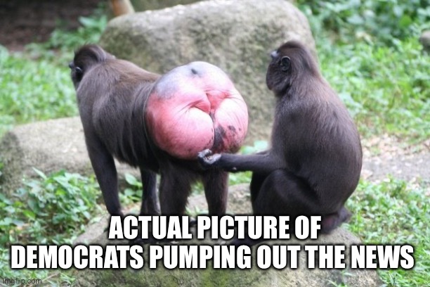 Democrats news | ACTUAL PICTURE OF DEMOCRATS PUMPING OUT THE NEWS | image tagged in politicstoo,memes,funny | made w/ Imgflip meme maker